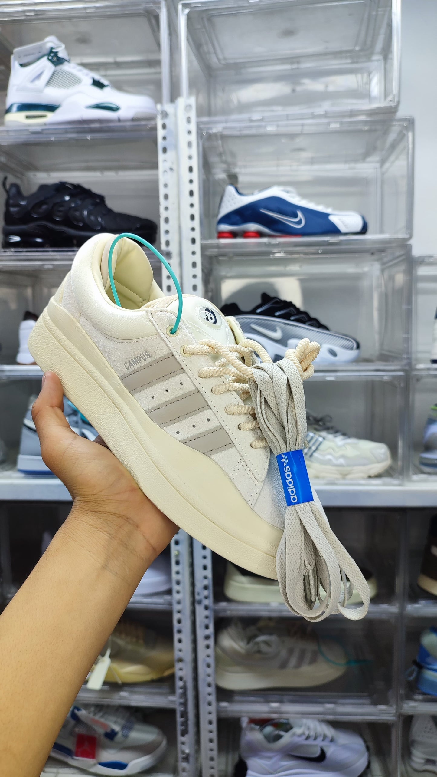 Adidas campus x Bad bunny "Light"