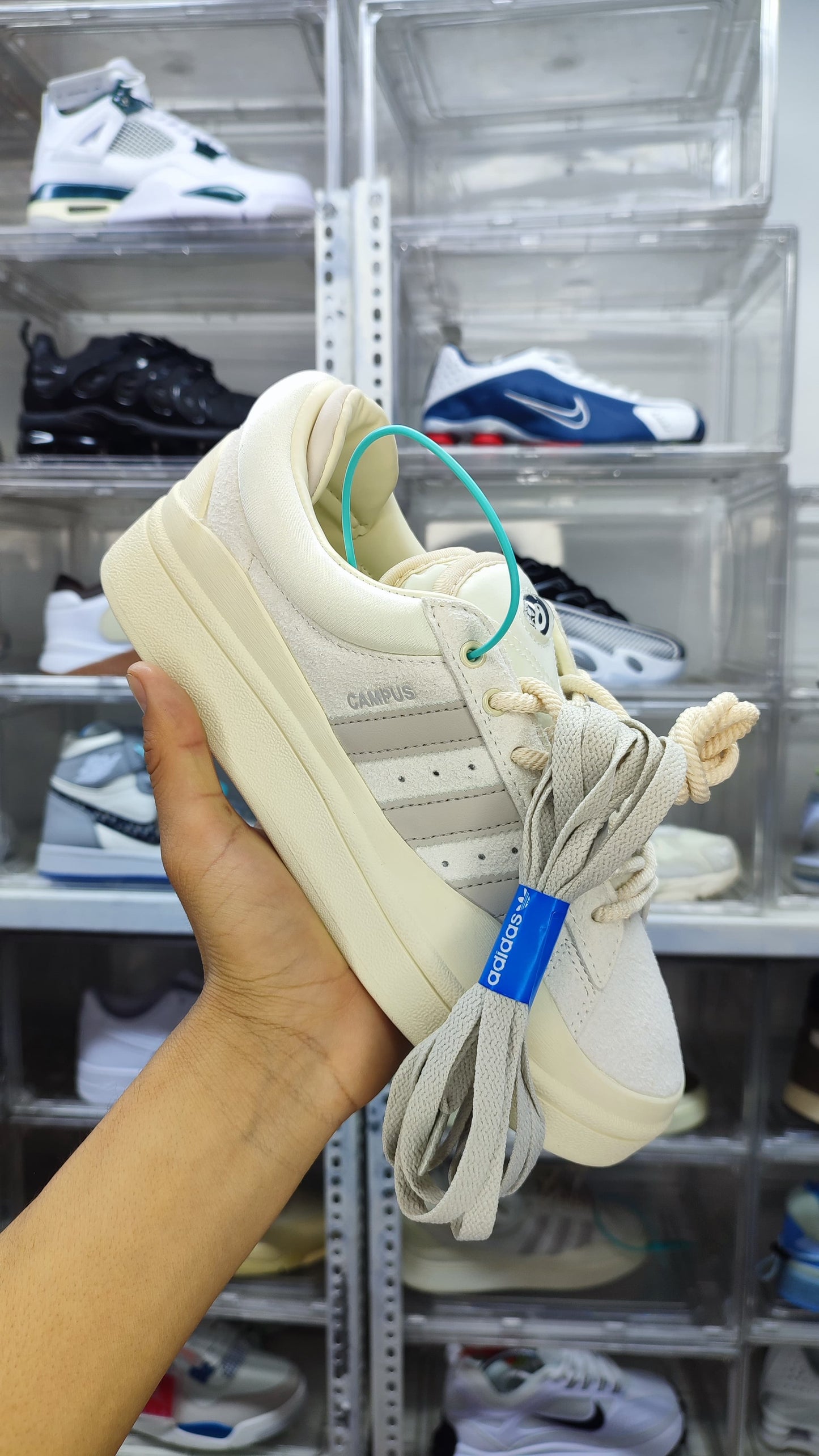 Adidas campus x Bad bunny "Light"