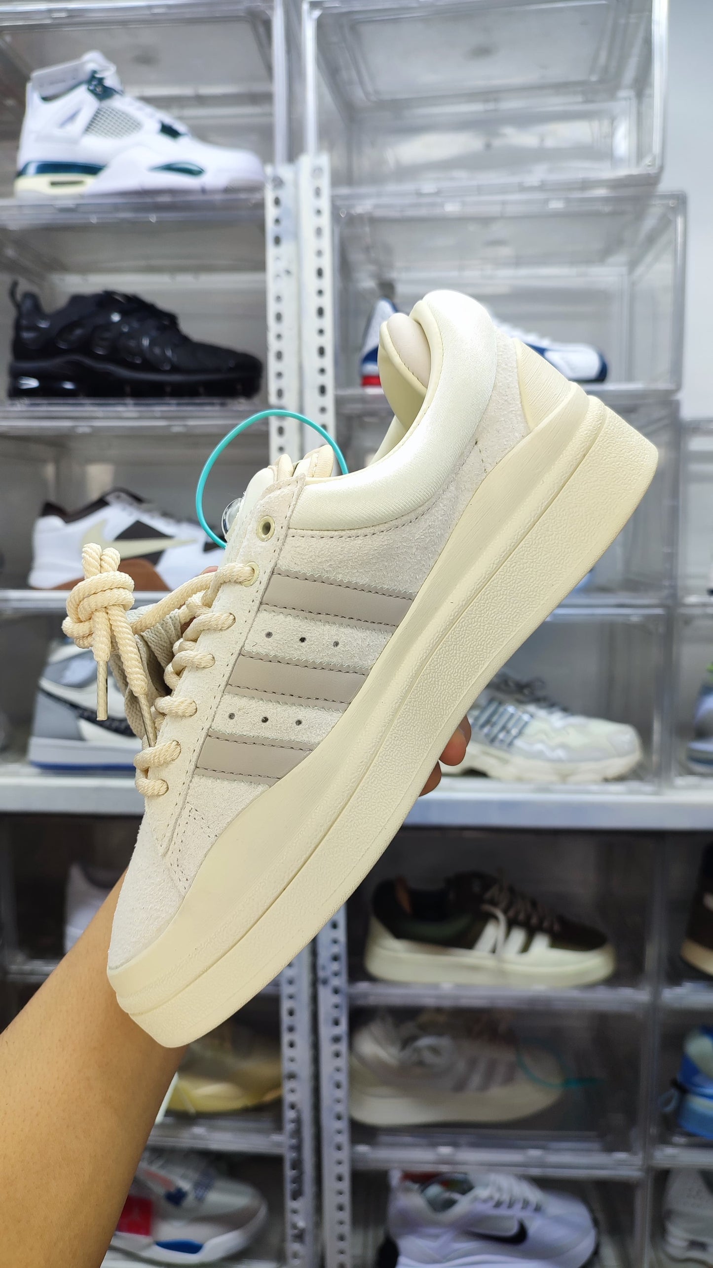 Adidas campus x Bad bunny "Light"