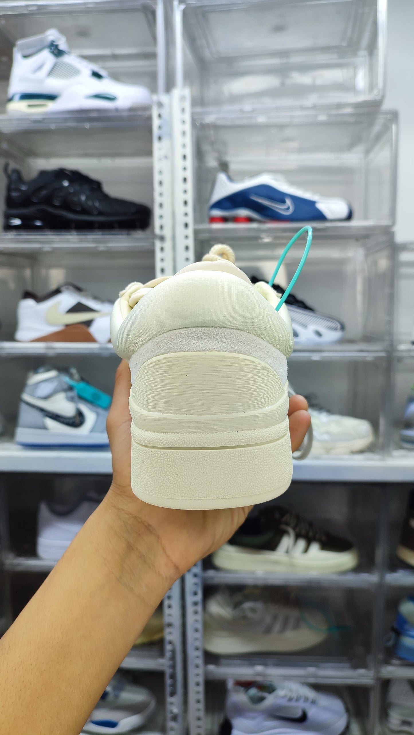 Adidas campus x Bad bunny "Light"