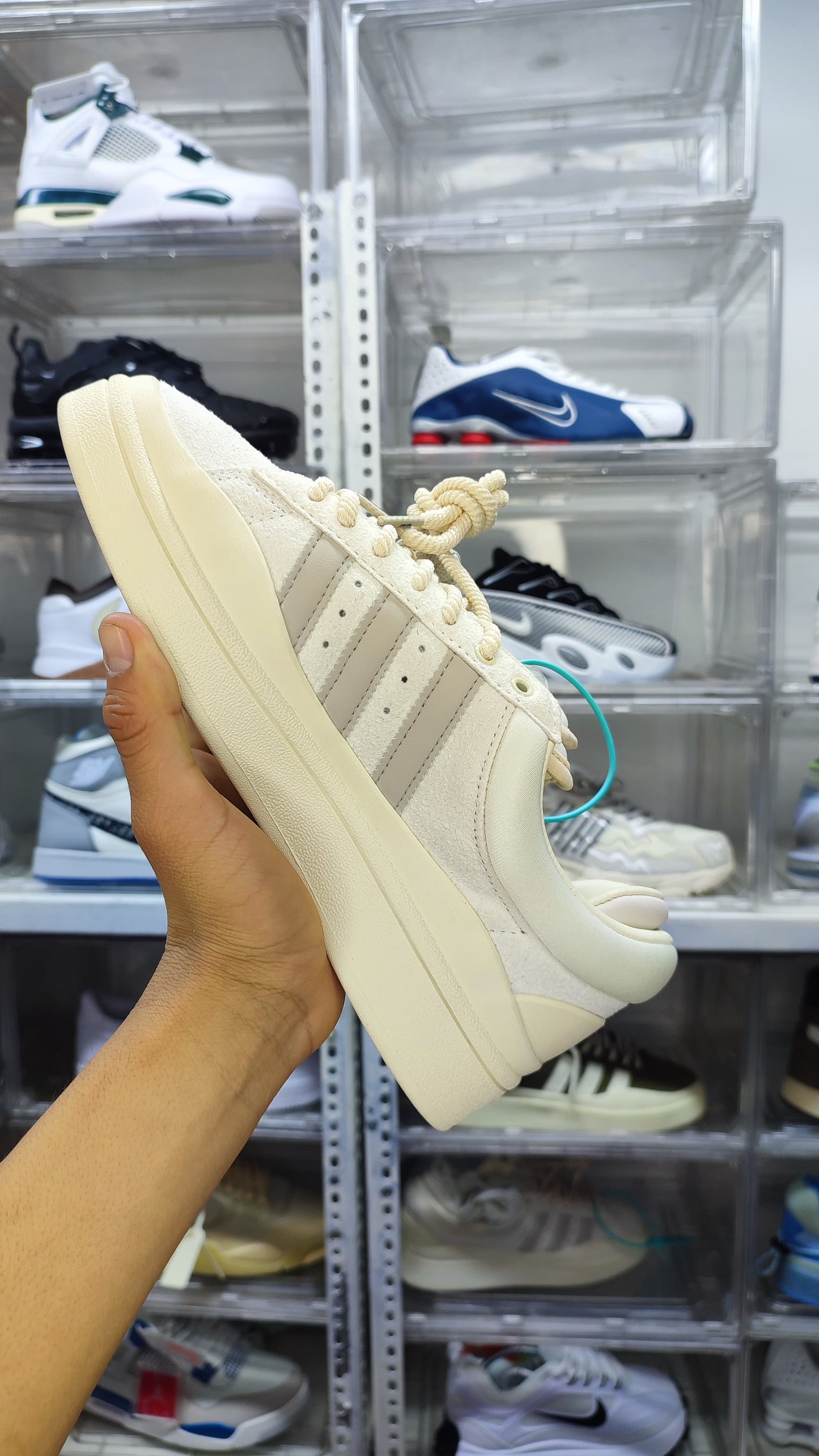 Adidas campus x Bad bunny "Light"