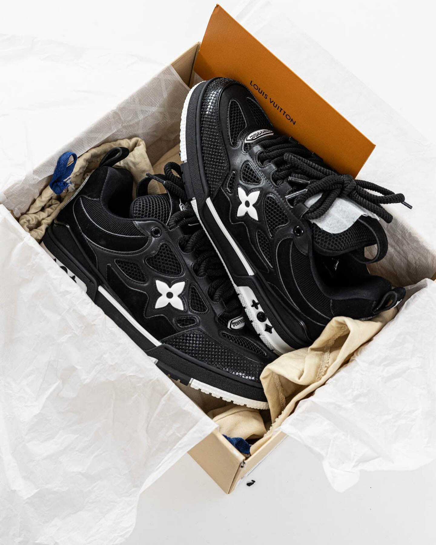 LOUIS VUITTON SKATE
