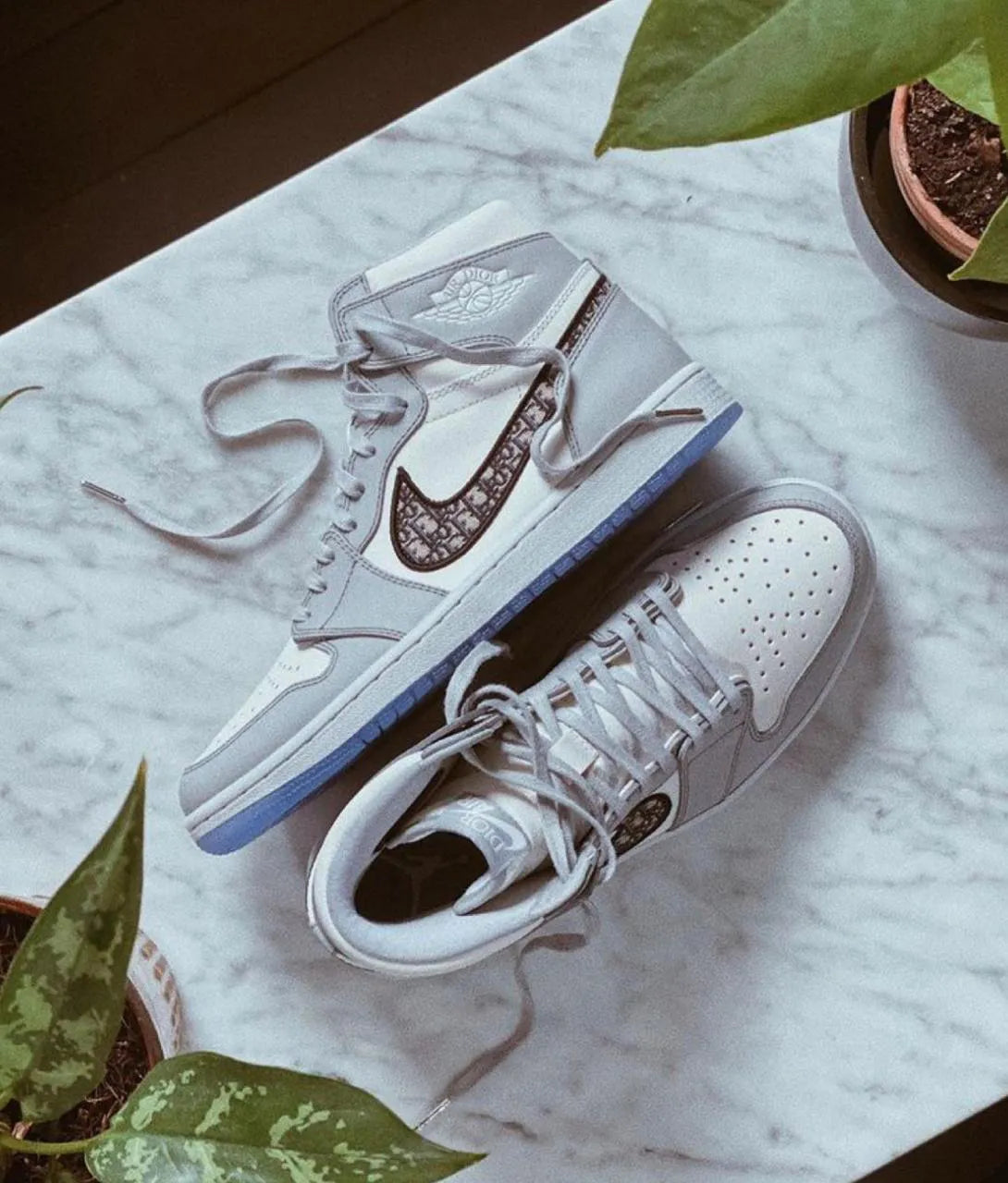 AIR JORDAN 1 x DIOR PK