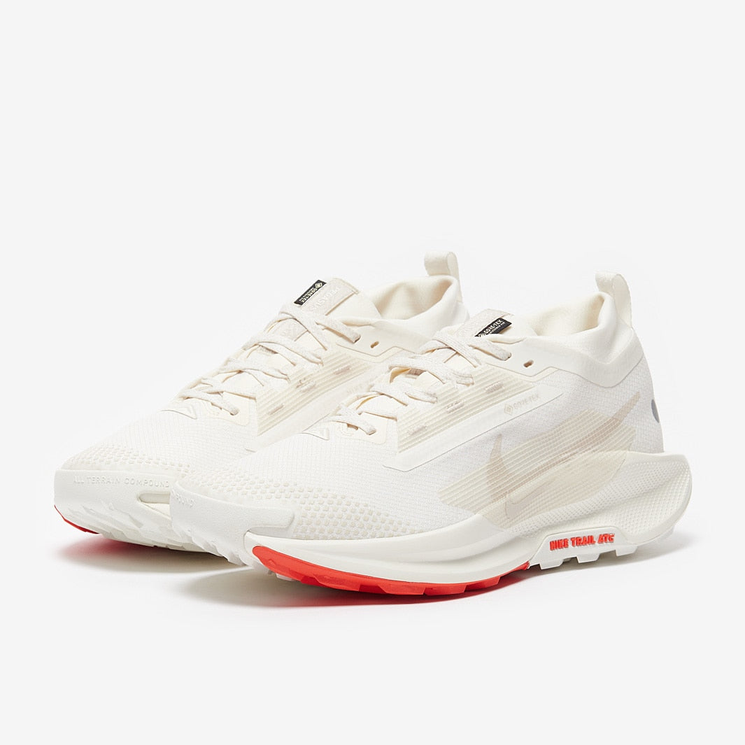 NIKE PEGASUS TRAIL 5 GOROTEX