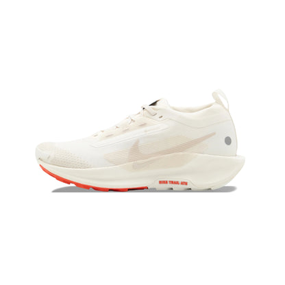 NIKE PEGASUS TRAIL 5 GOROTEX