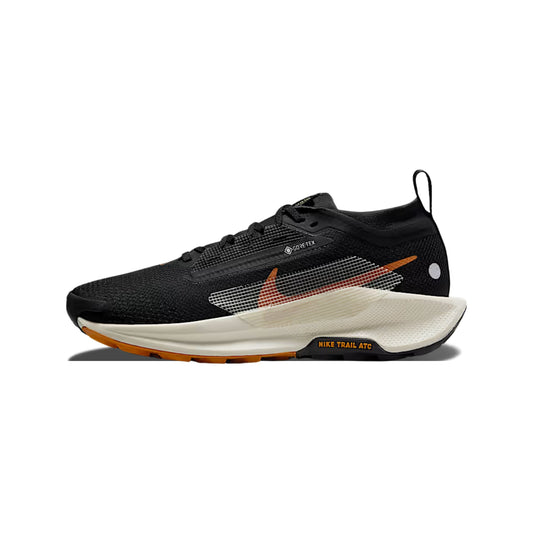 NIKE PEGASUS TRAIL 5 GOROTEX