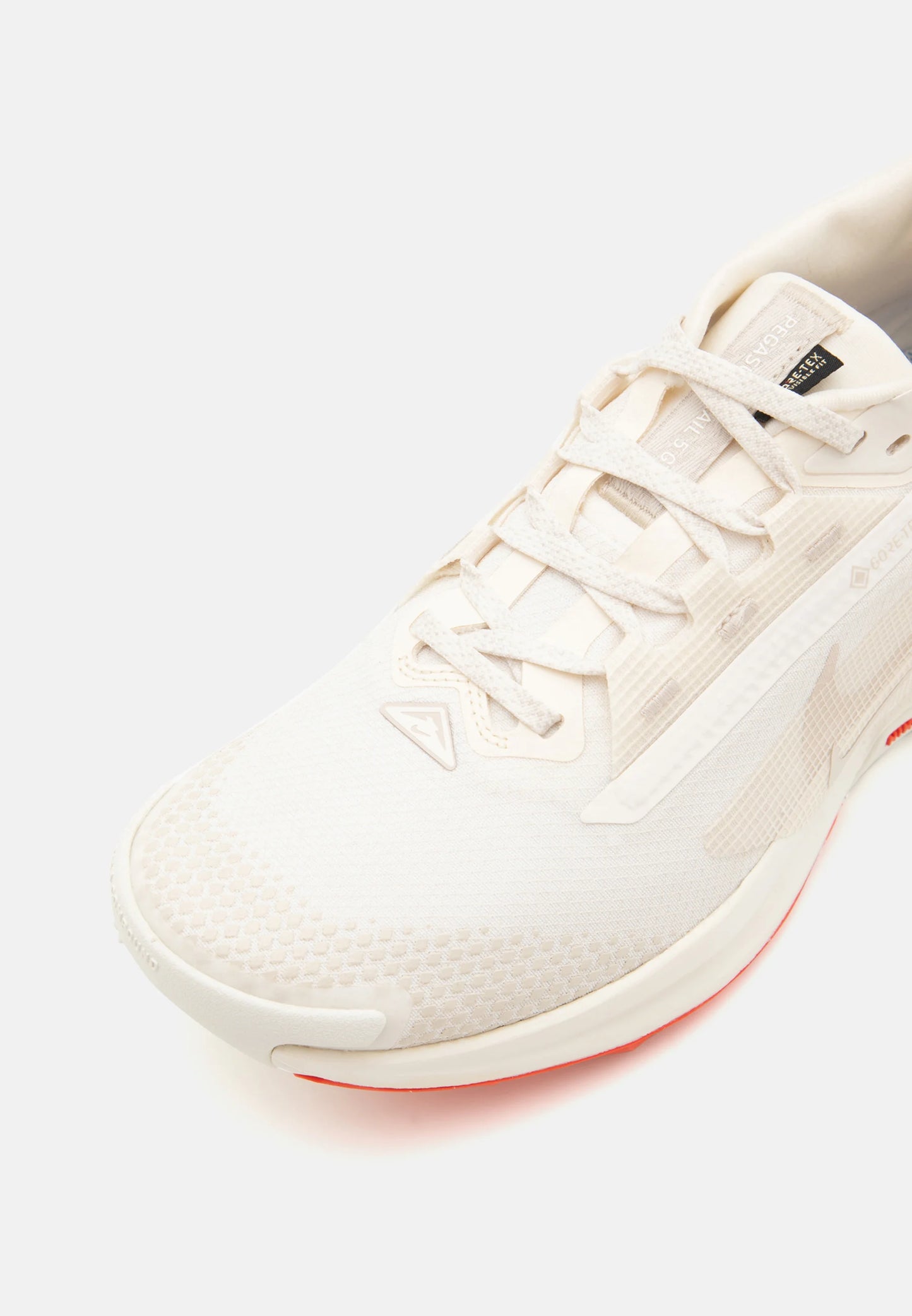 NIKE PEGASUS TRAIL 5 GOROTEX