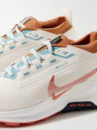 NIKE PEGASUS TRAIL 5 GOROTEX