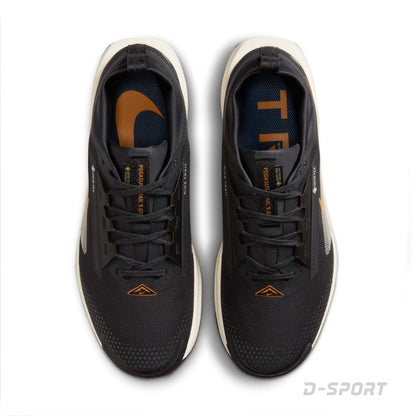 NIKE PEGASUS TRAIL 5 GOROTEX
